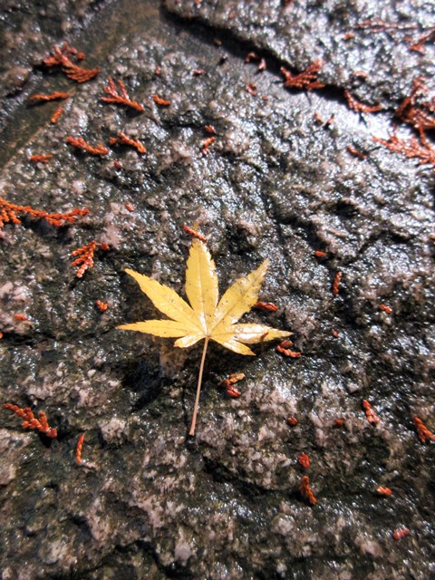 b0009849_18503716.jpg