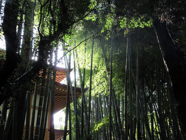 b0009849_1853494.jpg