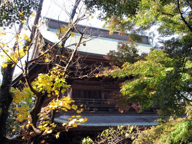 b0009849_1855789.jpg