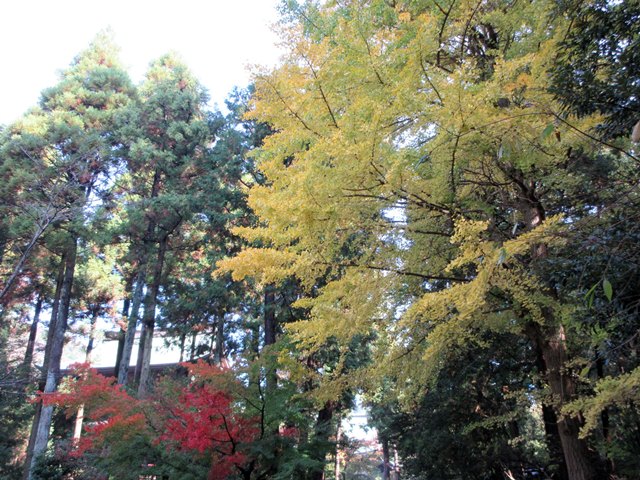 b0009849_1885598.jpg