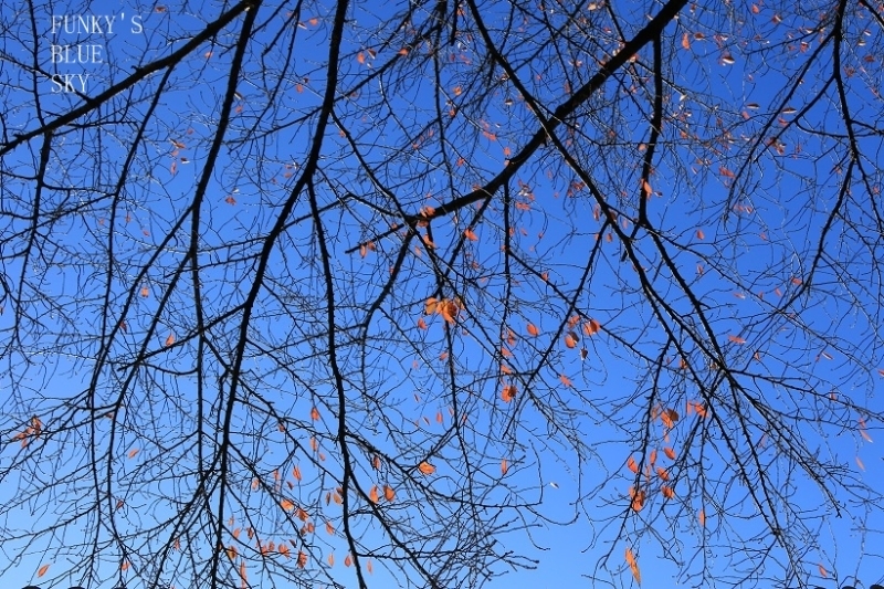 c0145250_09130611.jpg