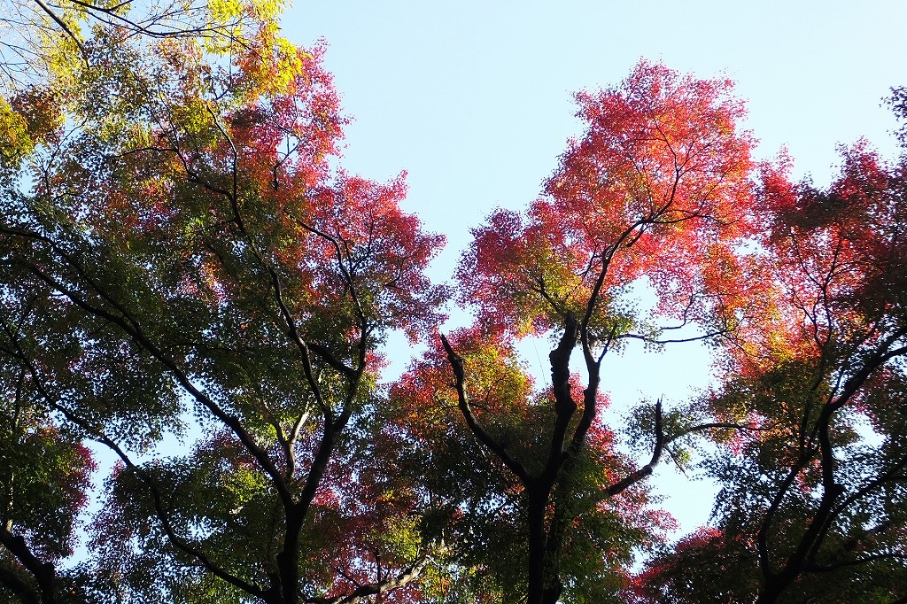 b0236251_11312056.jpg