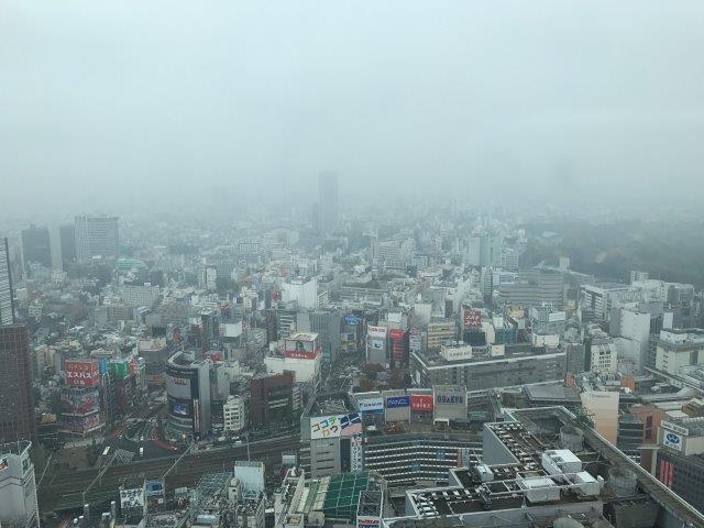 10年ぶり、カリエール展へ！_f0025351_02263130.jpg