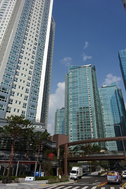 f0201054_21315232.jpg