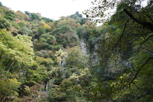 d0352155_10374099.jpg