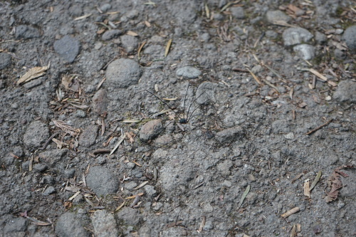 d0352155_16155711.jpg