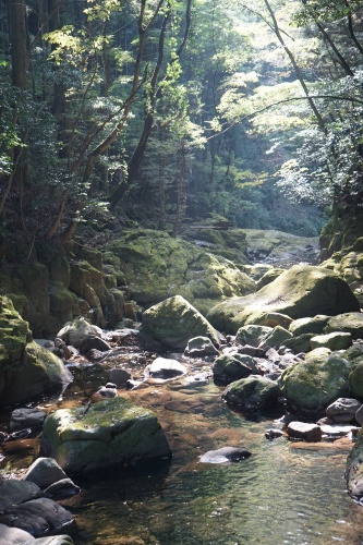 d0352155_17173604.jpg