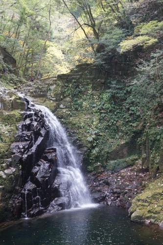 d0352155_17201530.jpg