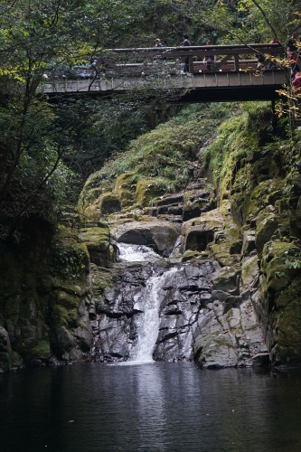 d0352155_17521048.jpg