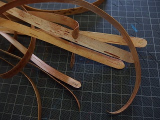 e0004756_1430243.jpg