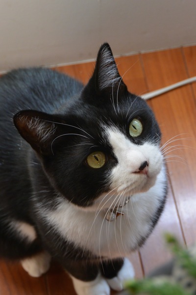 ワークショップご参加ありがとうございました。。。_a0229658_21314916.jpg