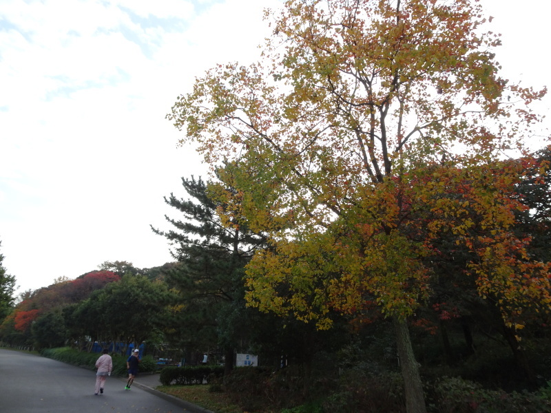 c0108460_22561522.jpg