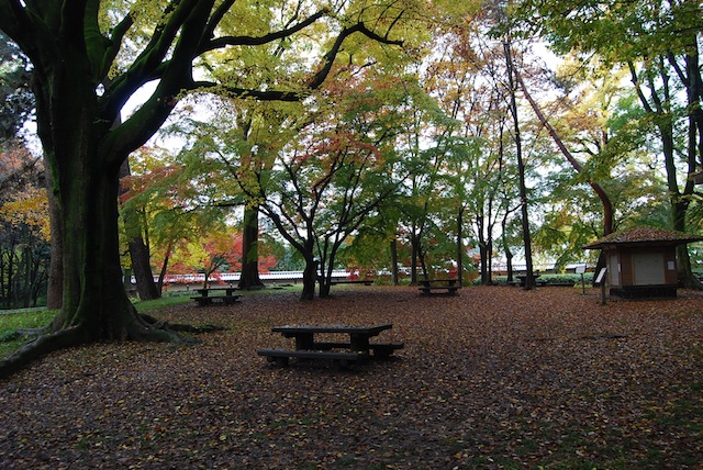 d0240462_0554645.jpg