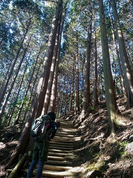 葛城山へ　１１月１２日_c0260463_5104164.jpg