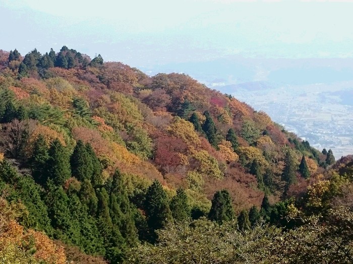c0260463_5265742.jpg