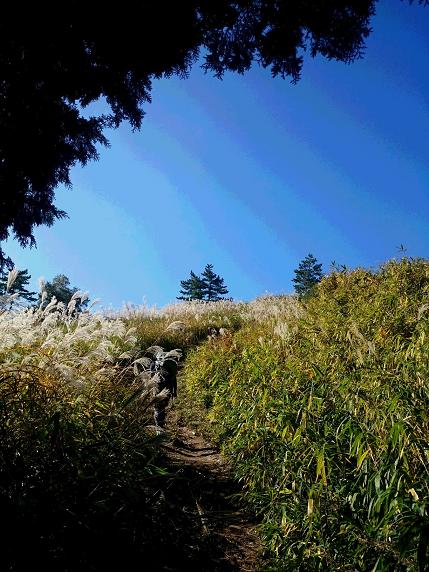 葛城山へ　１１月１２日_c0260463_5385282.jpg