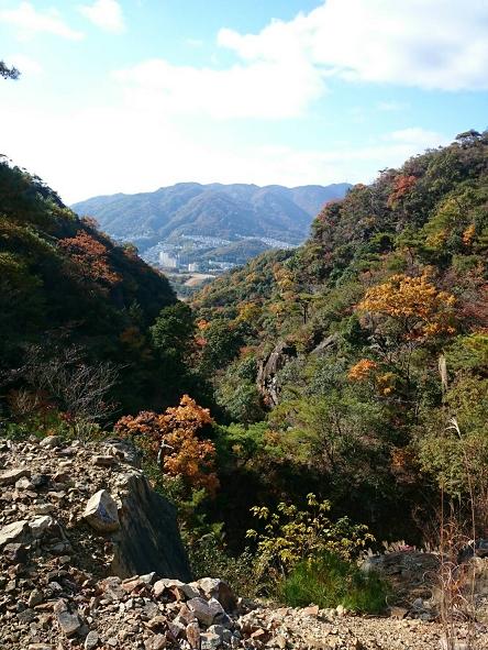 c0260463_554439.jpg