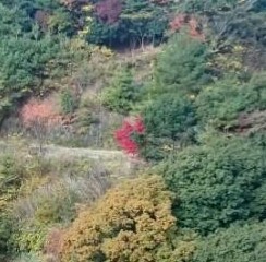 c0260463_5555670.jpg