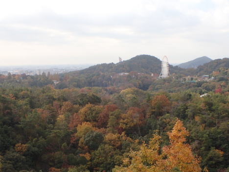 f0350468_07161146.jpg