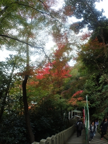 f0350468_07533748.jpg