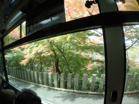 f0350468_07535753.jpg