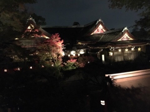 f0363168_06503247.jpeg