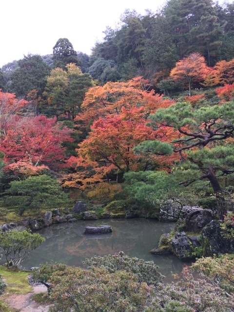 f0363168_07102702.jpeg
