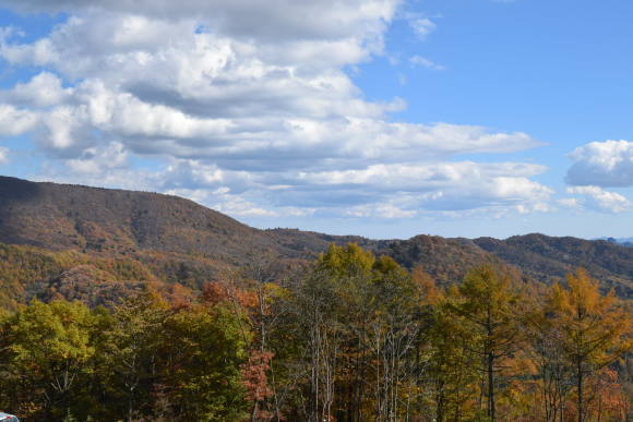 b0242873_01180474.jpg