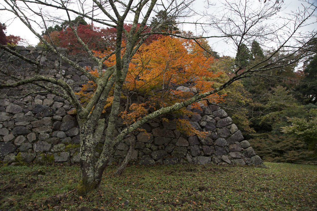 a0301676_08545615.jpg