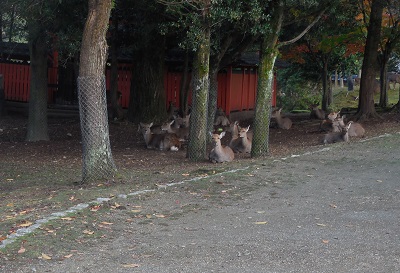 二十日　その二　　わたしの「楽園」_c0243877_11242535.jpg