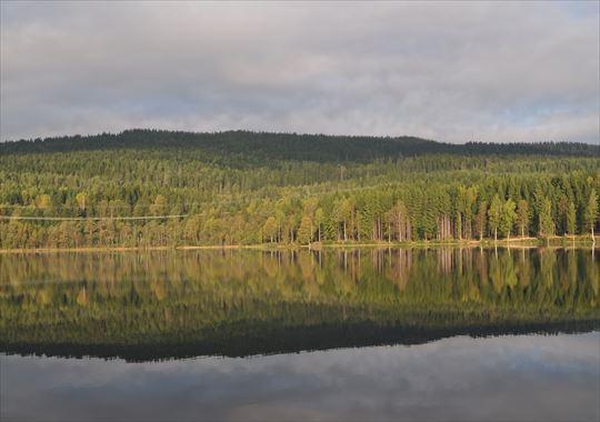 b0346378_17354277.jpg