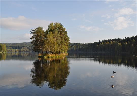 b0346378_17374136.jpg