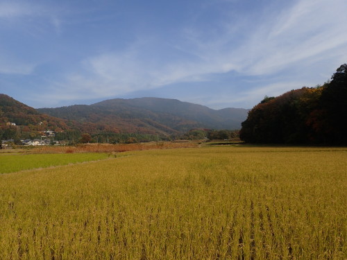 f0348480_15133833.jpg