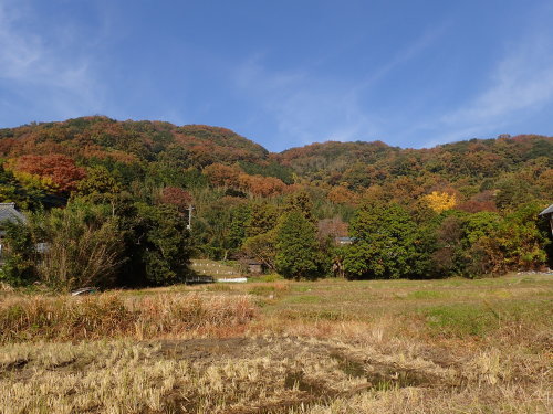 f0348480_15193309.jpg