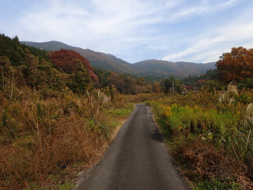 f0348480_15205479.jpg