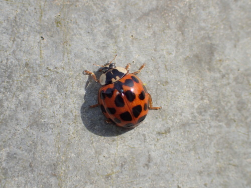 f0348480_15264277.jpg
