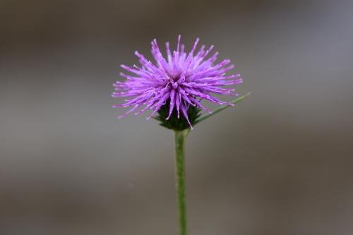 f0348480_15331678.jpg