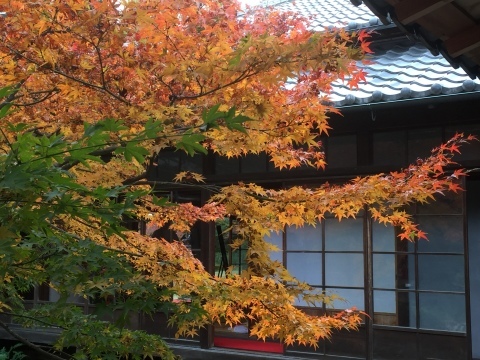 b0116082_21251604.jpeg