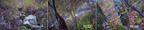 c0324983_08100128.jpg