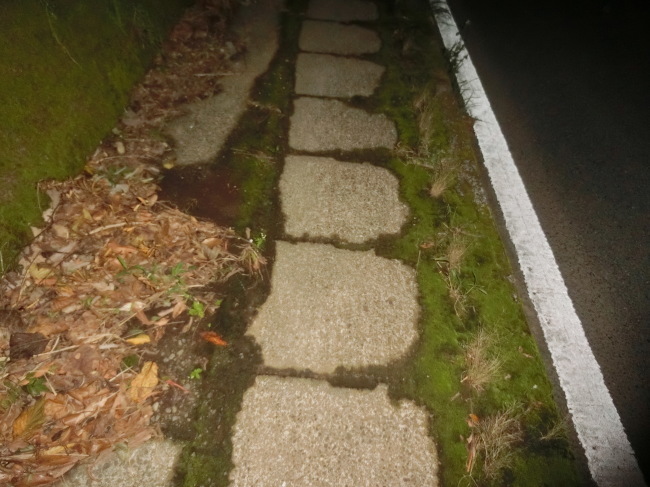 第1回屋久島100キロウルトラウォーキングの完歩報告_e0294183_15264559.jpg