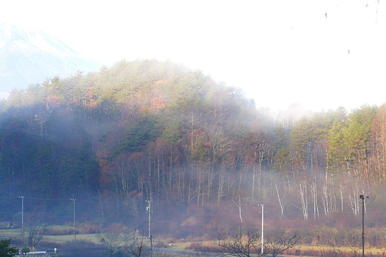 a0130586_916015.jpg