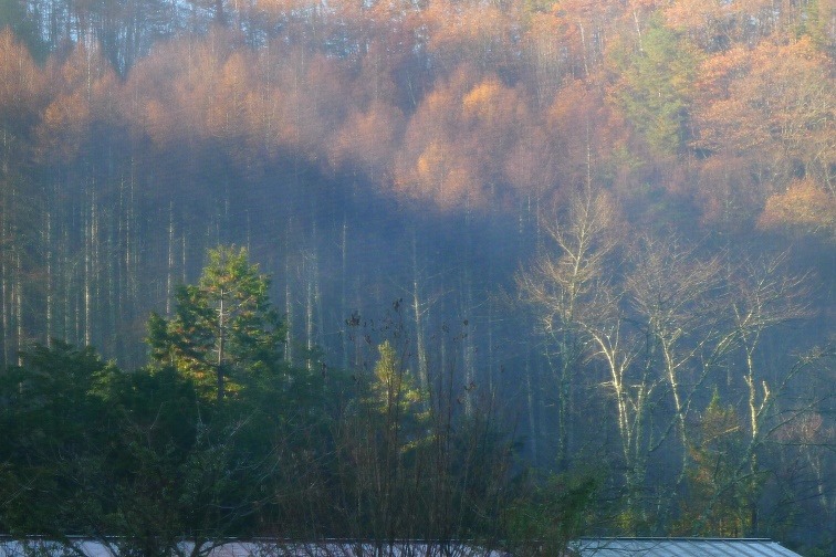 a0130586_9164290.jpg