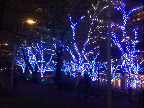 b0369486_12012031.jpg