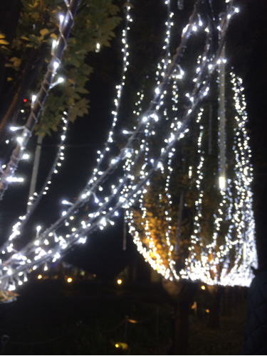 b0369486_12012079.jpg