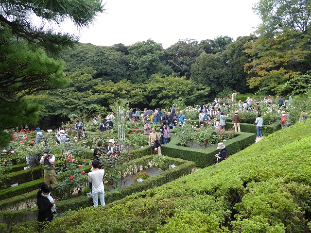 紅葉散歩にお勧め♪バラの洋館と渋沢栄一の洋館♪_b0287088_1956337.jpg