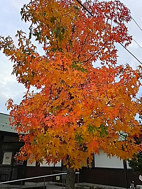 c0204188_18585090.jpg