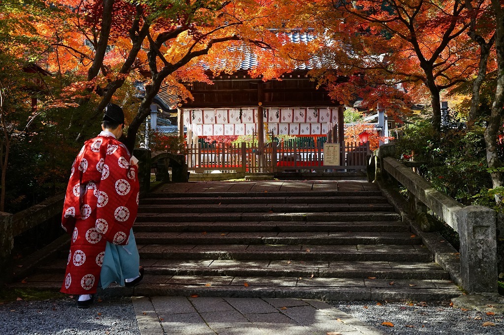 鍬山神社_c0022089_20185242.jpg