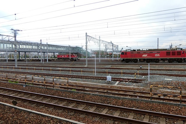 鉄道写真、東海道本線岸辺駅にて・・・・レッドサンダー、EF65の写真撮影_d0181492_17094247.jpg