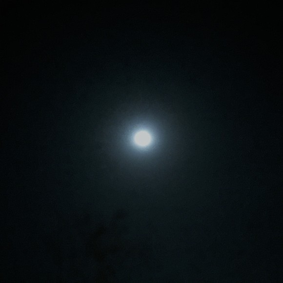 a0244794_17154560.jpg