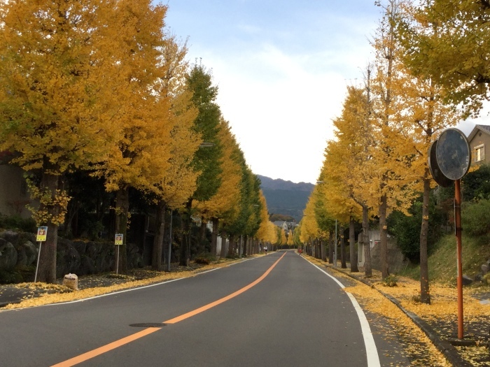 秋色の日  A Day Of Autumn Colours_f0268294_22233003.jpg